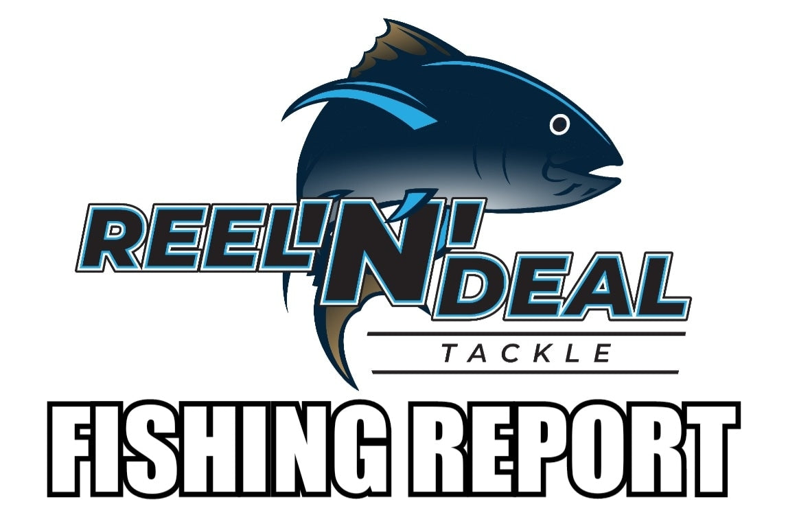 Reel N Deal Tackle Fishing Report - November 2023 – REEL 'N' DEAL