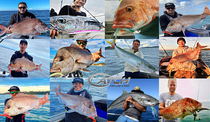 <CATCH FISHING IMAGE>