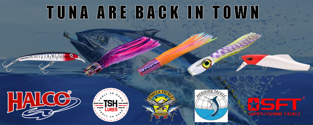 http://www.reelndealtackle.com.au/cdn/shop/collections/TUNA_LURES.jpg?v=1705302626