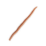 Fishing Factory Beach Worm Lure Bait