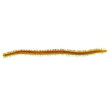 Fishing Factory Beach Worm Lure Bait