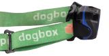 Dogbox Duet Rechargeable Head Lamp