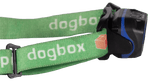 Dogbox Duet Rechargeable Head Lamp