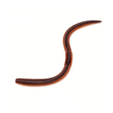Kingdom Soft Bait Worms 3.8"