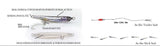 Little Jack Amezaiku JP Lure 45mm