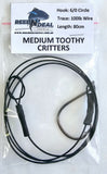 Medium Toothy Critters Shark Trace