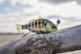 Osprey Depth Charge Interchangeable Inline Chin Weight - Choose Size