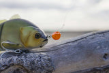 Osprey Depth Charge Interchangeable Inline Chin Weight - Choose Size