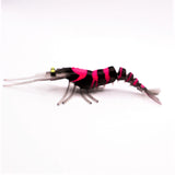 S Tackle Tail Dancer 3D Prawn UV Soft Baits 3"