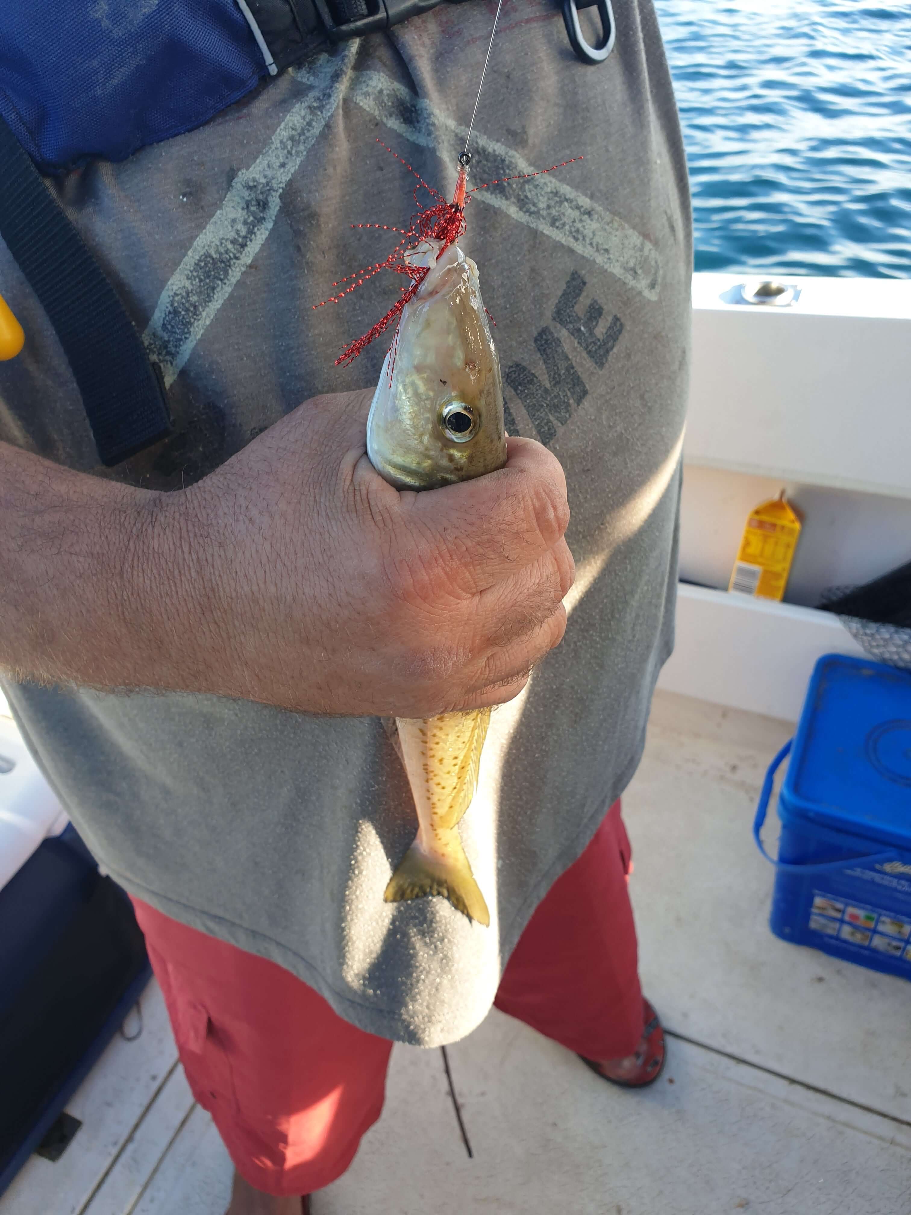 WHITING FLASHER HOOKS - REEL 'N' DEAL TACKLE