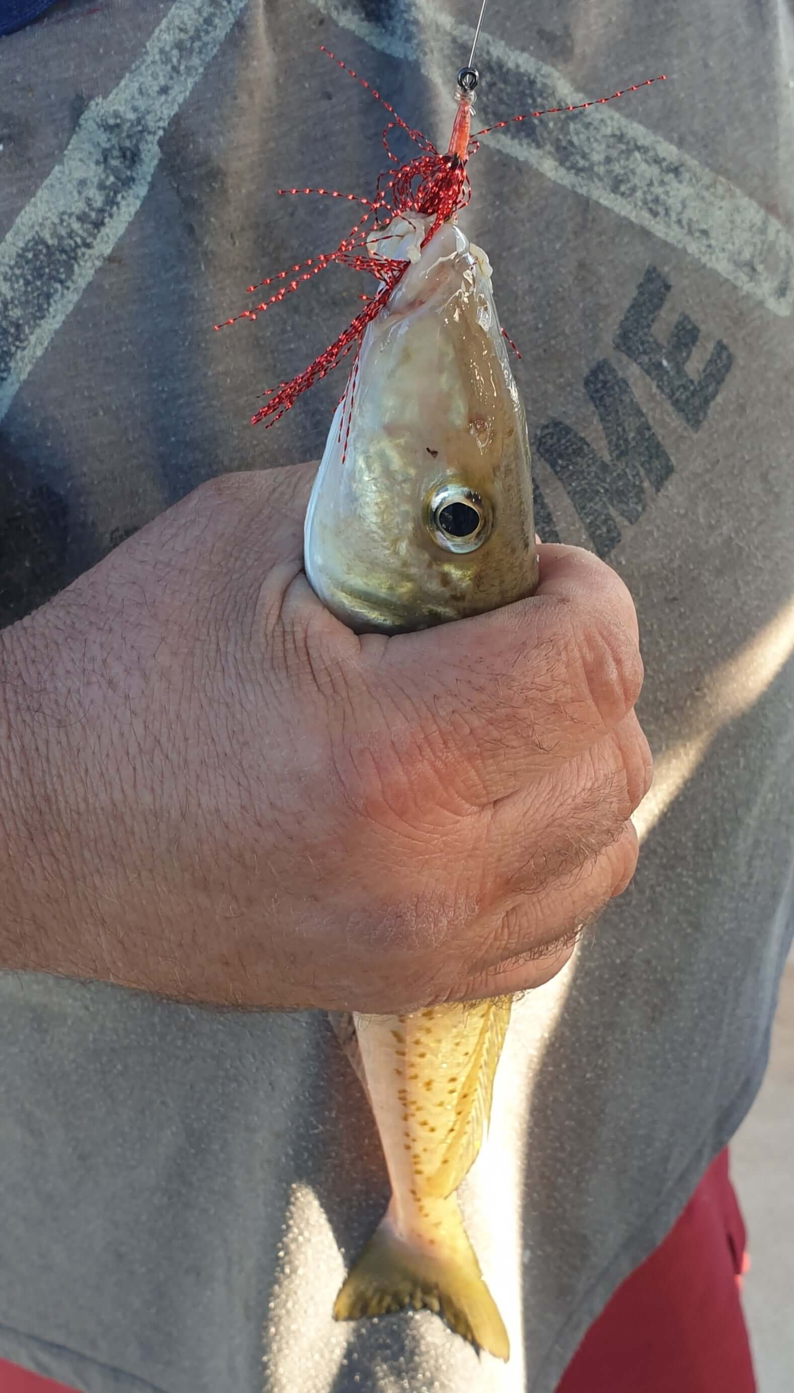 WHITING FLASHER HOOKS - REEL 'N' DEAL TACKLE
