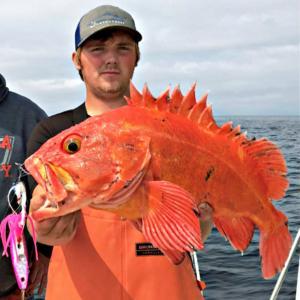 CATCH 80G BETABUG - REEL 'N' DEAL TACKLE