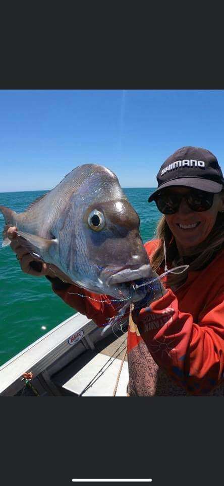 OCTOPUS BEAK SINGLES HOOKS - REEL 'N' DEAL TACKLE