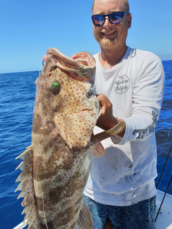 OCTOPUS BEAK SINGLES HOOKS - REEL 'N' DEAL TACKLE