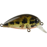 ATOMIC HARDZ CRANK 38MM MID DIVER - REEL 'N' DEAL TACKLE