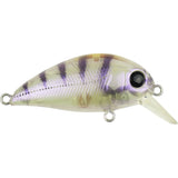 ATOMIC HARDZ CRANK 38MM MID DIVER - REEL 'N' DEAL TACKLE