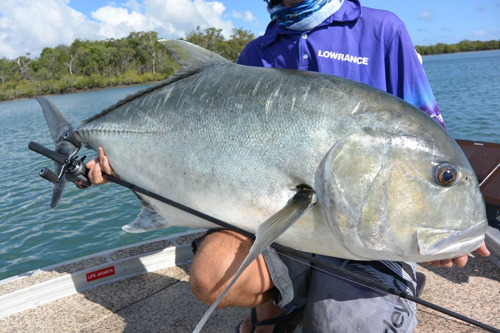 OKUMA KOMODO SS BAITCAST - REEL 'N' DEAL TACKLE