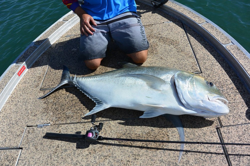 OKUMA KOMODO SS BAITCAST - REEL 'N' DEAL TACKLE