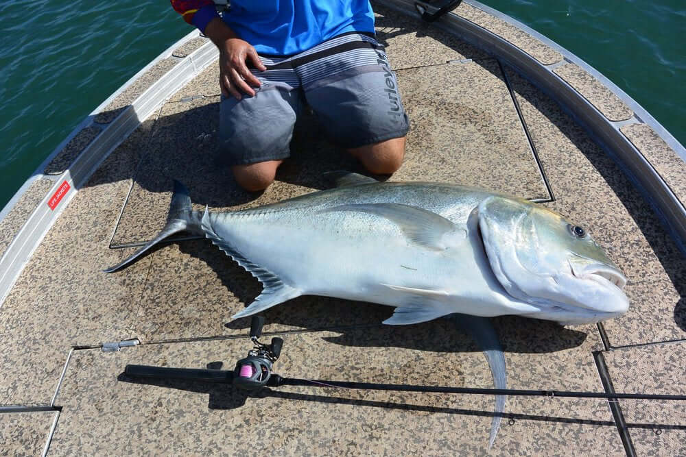 OKUMA KOMODO SS BAITCAST - REEL 'N' DEAL TACKLE