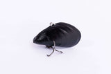 BLUE LIP BAITS MICRO MUSSEL LIGHT 2.9G - REEL 'N' DEAL TACKLE