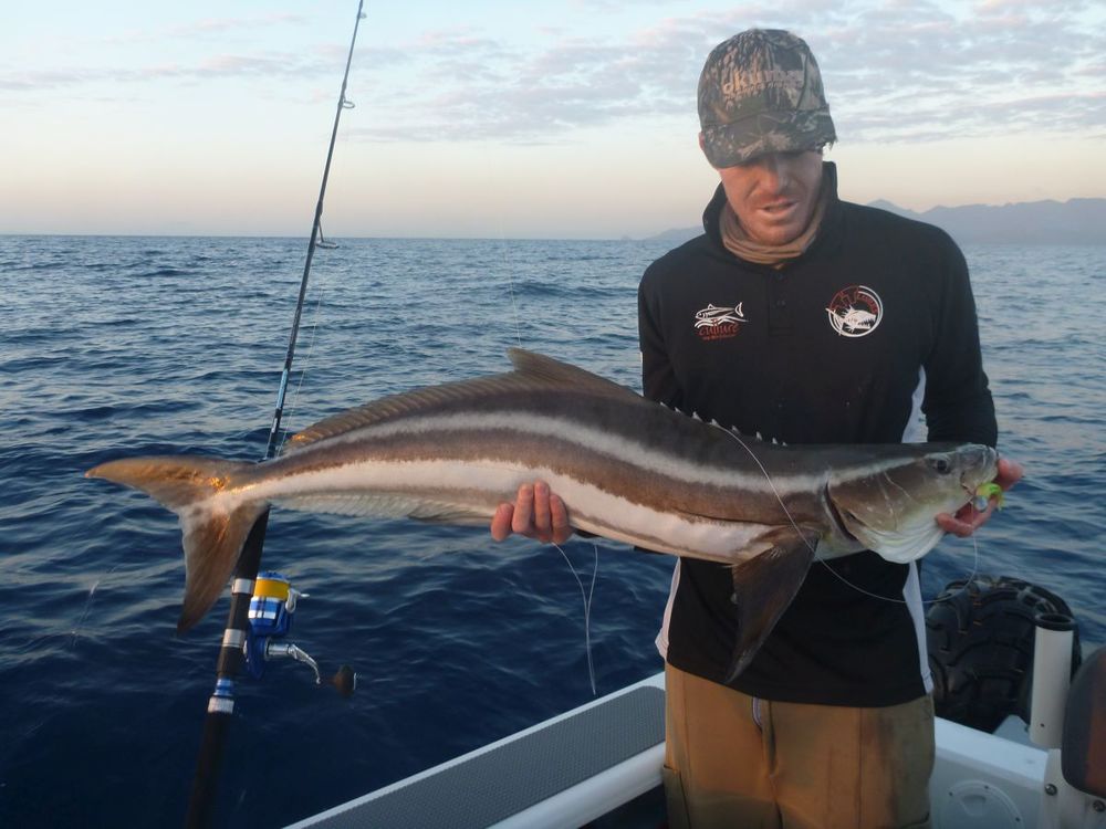 OKUMA PRESSURE POINT JIG / POPPING SPIN RODS - REEL 'N' DEAL TACKLE