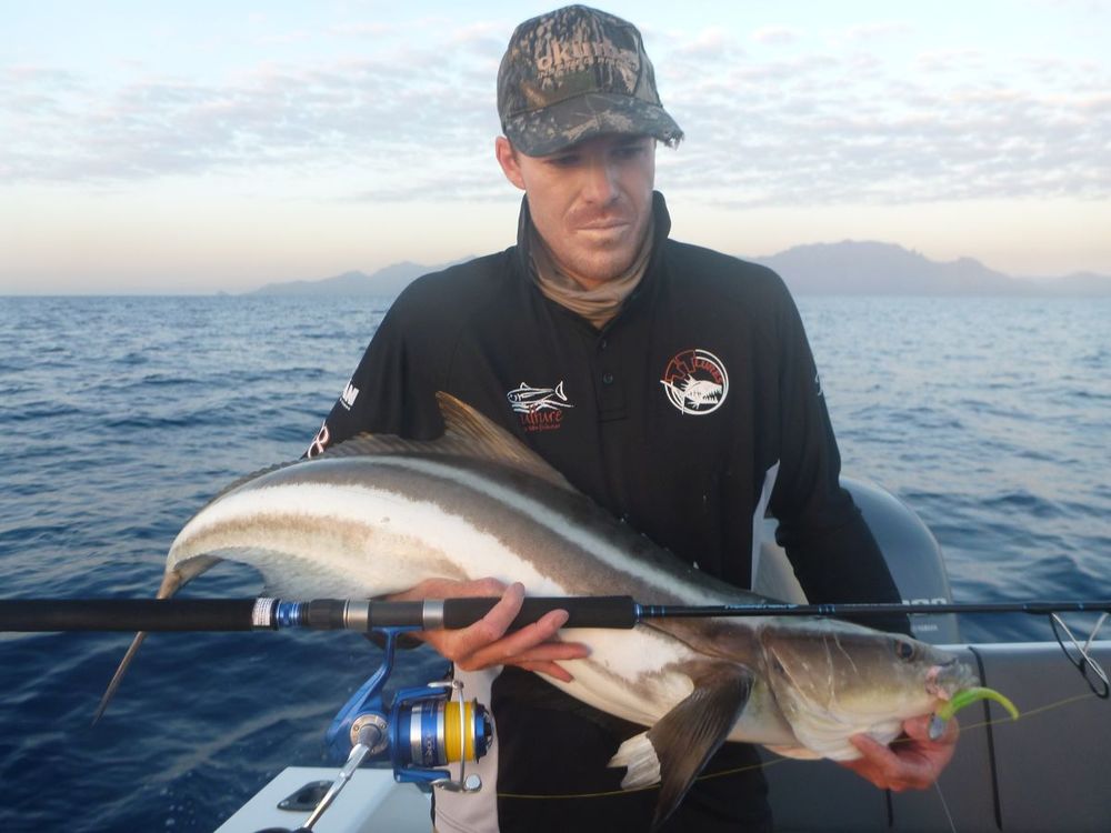 OKUMA PRESSURE POINT JIG / POPPING SPIN RODS - REEL 'N' DEAL TACKLE