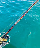 Insalt Snapper Slayer Spin Rods