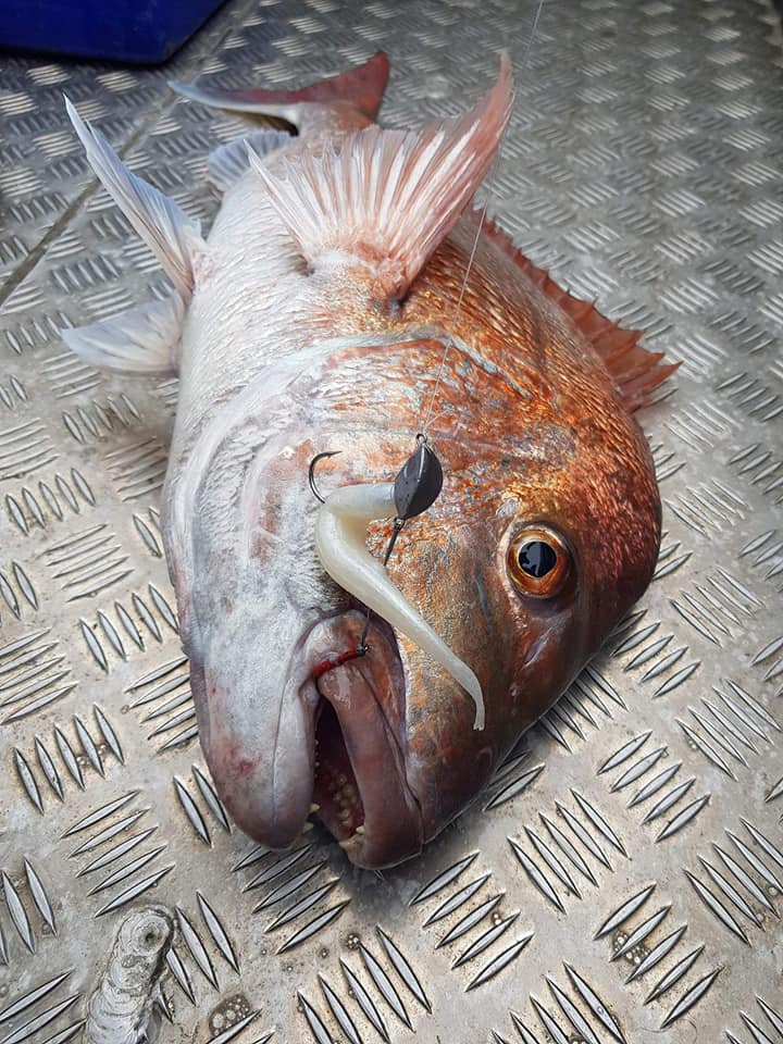 CATCH STINGAZ TENYA JIGHEADS WITH ASSIST HOOK - REEL 'N' DEAL TACKLE