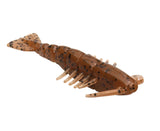 Zman Prawnz 2.5" Lures