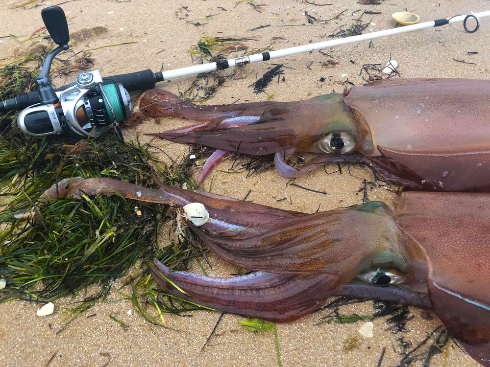 OKUMA INKED EGI SPECIAL SPIN RODS - REEL 'N' DEAL TACKLE