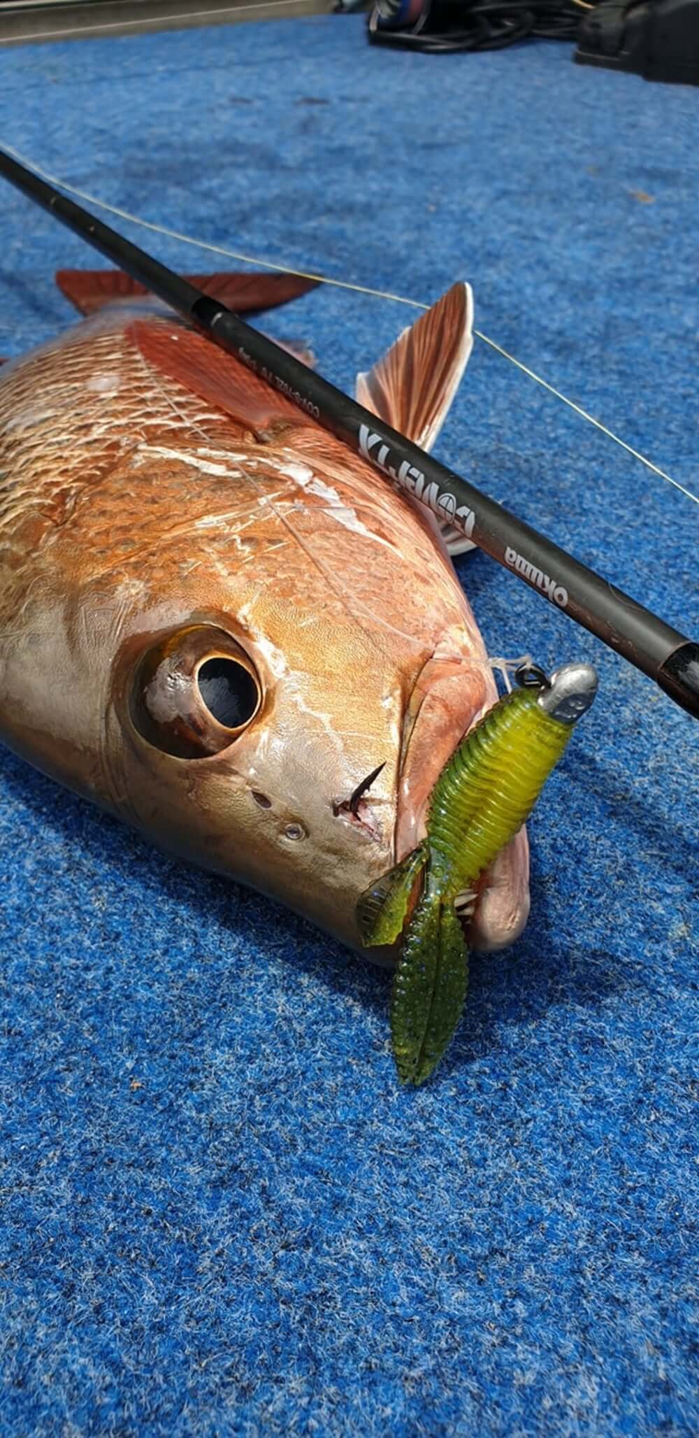 OKUMA COVERT X SPIN RODS - REEL 'N' DEAL TACKLE