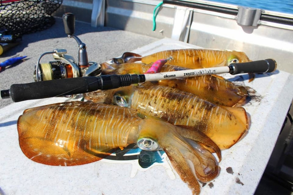 OKUMA INKED EGI SPECIAL SPIN RODS - REEL 'N' DEAL TACKLE