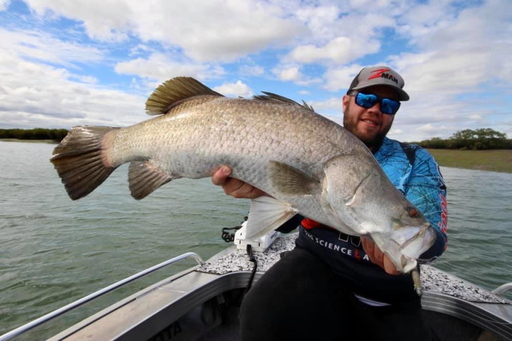 TT LURES HEADLOCKZ HD JIG HEADS - REEL 'N' DEAL TACKLE