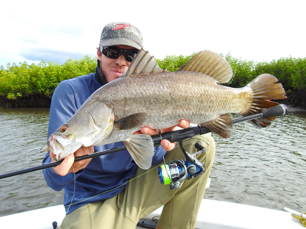 PLATYPUS PULSE X8 BRAID - 300M - REEL 'N' DEAL TACKLE