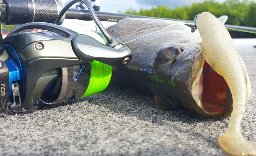 PLATYPUS PULSE X8 BRAID - 300M - REEL 'N' DEAL TACKLE