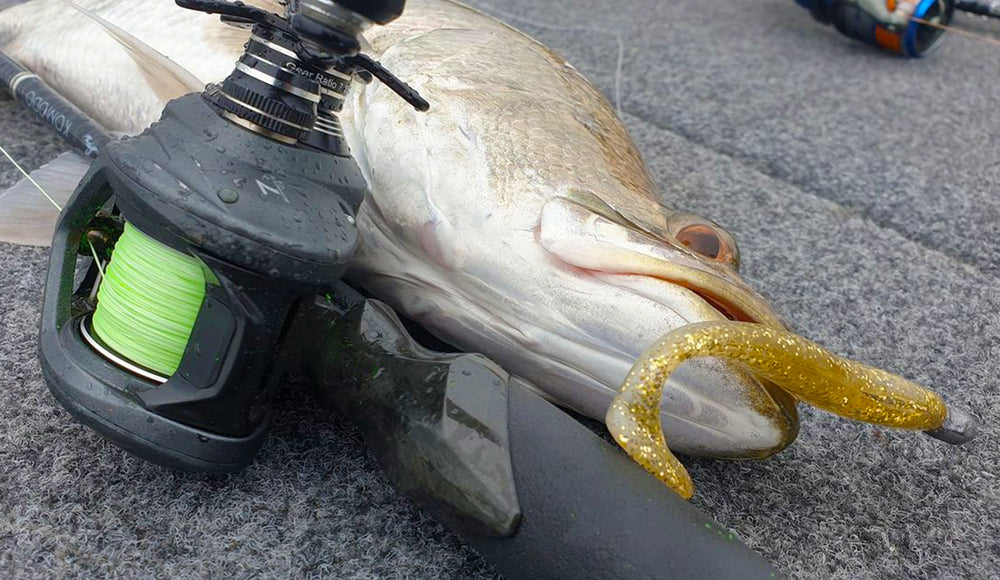 PLATYPUS PULSE X8 BRAID - 300M - REEL 'N' DEAL TACKLE