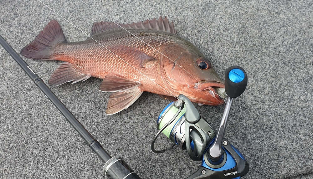 PLATYPUS PULSE X8 BRAID - 300M - REEL 'N' DEAL TACKLE