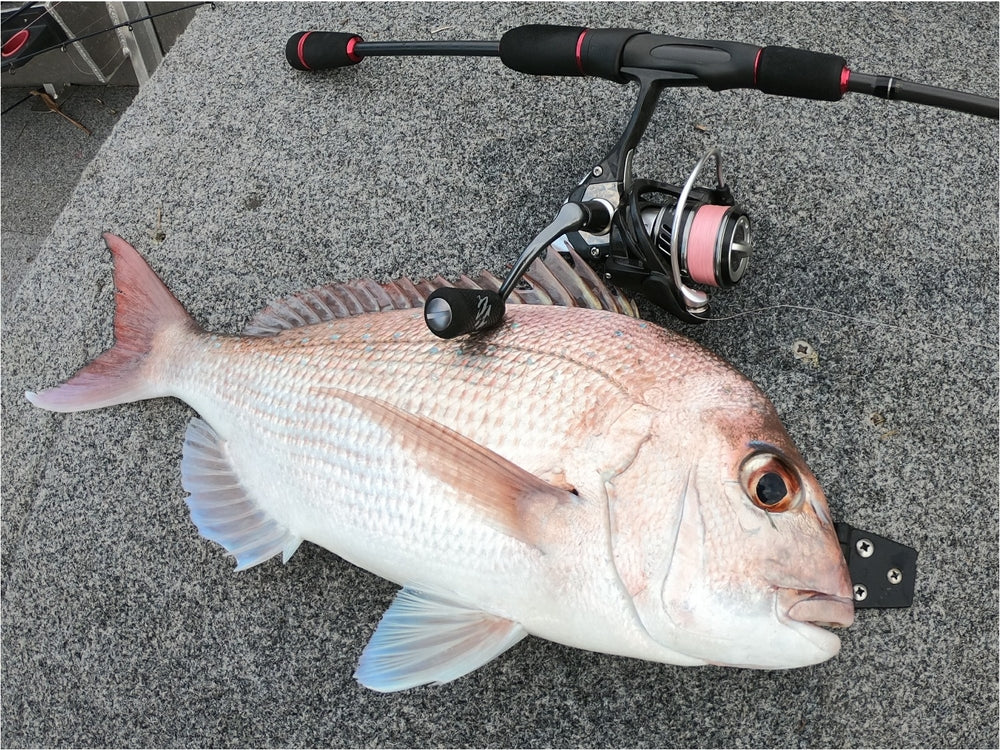 OKUMA ITX CARBON SPIN REELS - REEL 'N' DEAL TACKLE