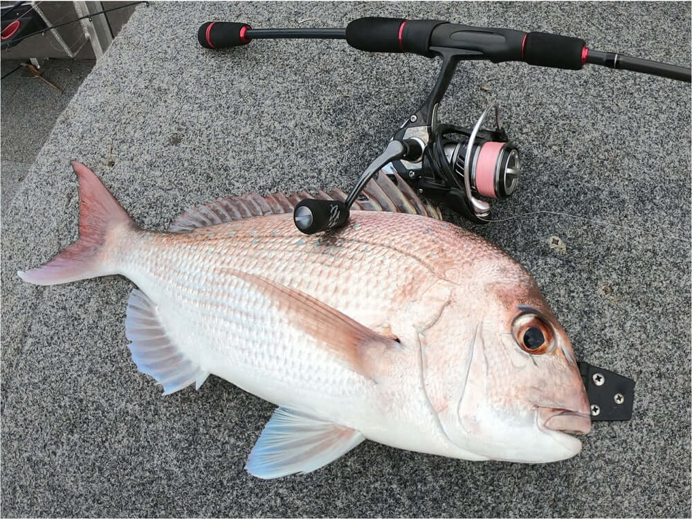 OKUMA ITX CARBON SPIN REELS - REEL 'N' DEAL TACKLE