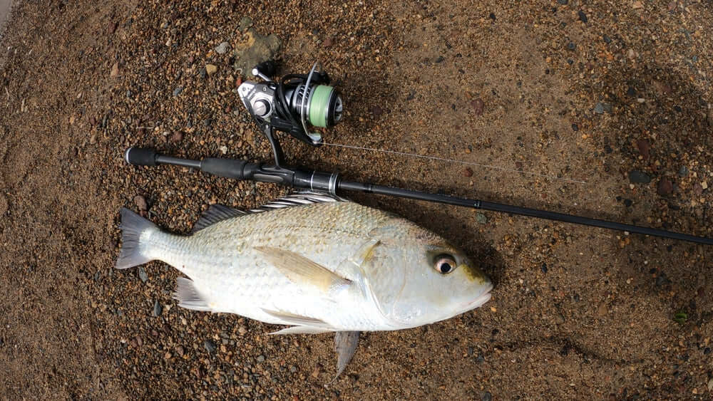 OKUMA ITX CARBON SPIN REELS - REEL 'N' DEAL TACKLE