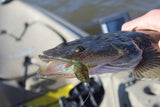 TT LURES HEADLOCKZ FINESSE JIG HEADS - REEL 'N' DEAL TACKLE