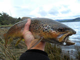 TT LURES HEADLOCKZ FINESSE JIG HEADS - REEL 'N' DEAL TACKLE