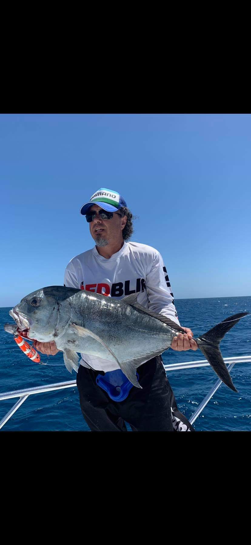 LAZYFISHO STICKBAITS FLOATING 80G - REEL 'N' DEAL TACKLE