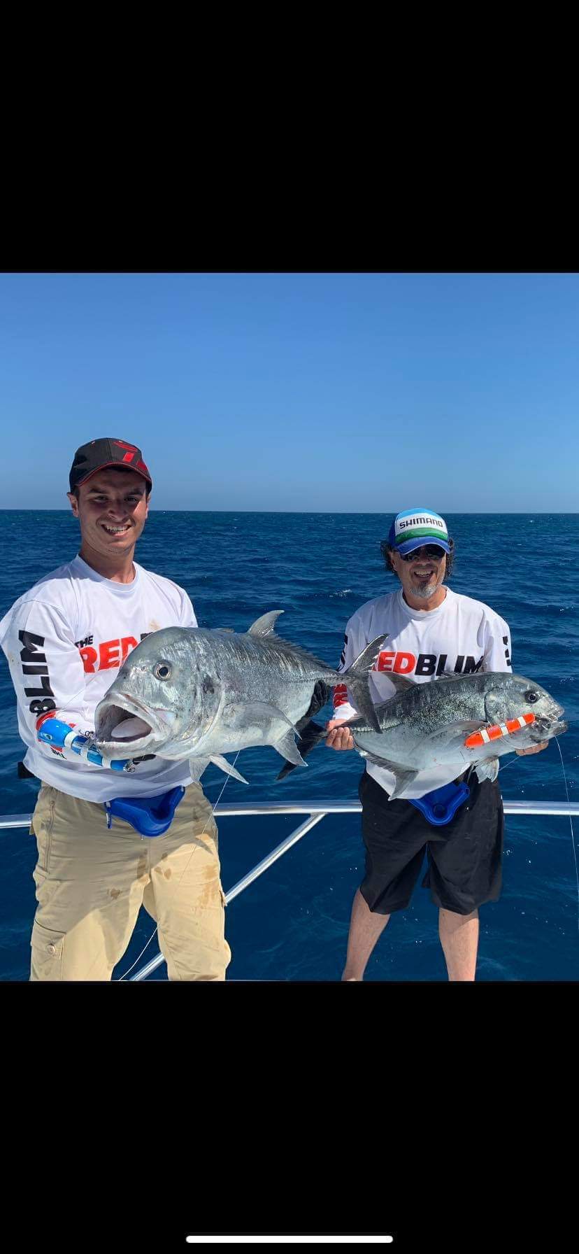 LAZYFISHO STICKBAITS FLOATING 80G - REEL 'N' DEAL TACKLE