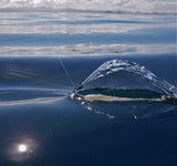 CATCH STINGAZ TENYA JIGHEADS - REEL 'N' DEAL TACKLE