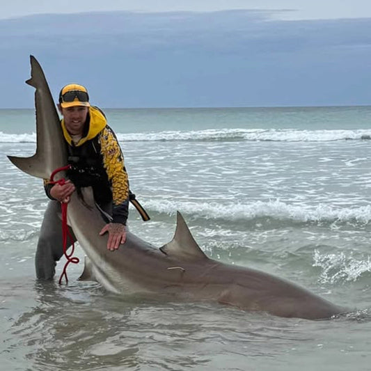 REEL TALK™ Reel Servicing & Repairs