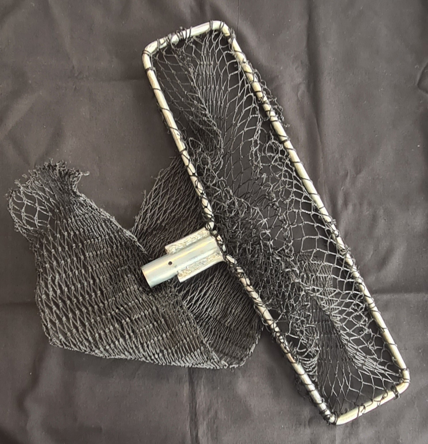 Pipi Cockles Accessories