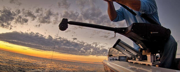 Cannon Downriggers