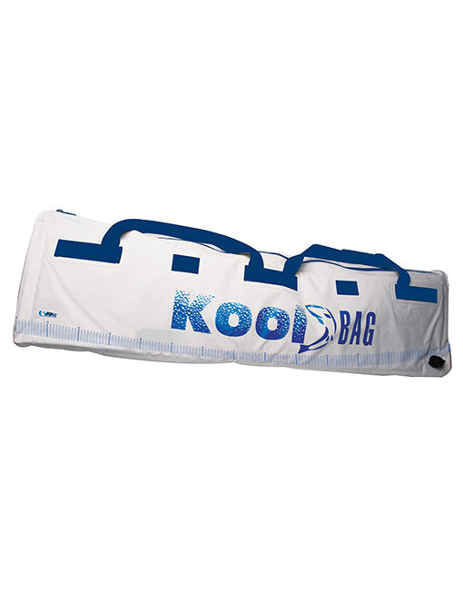 Fish Chiller Cooler Bags