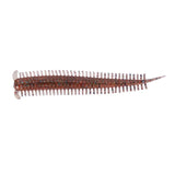 Berkley Powerbait Sandworm Soft Plastic Lure 2.5 in